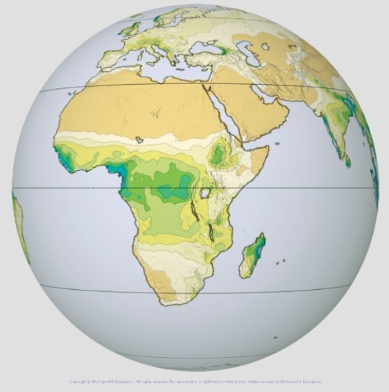 This globe from the atmospheric moisture investigation shows precipitation,with higher amounts in green and blue.Which of the following regions has the highest average amount of precipitation?   A) The northern part B) Along the equator C) Along the entire east coast of the continent D) Along the entire west coast of the continent