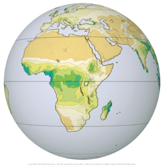 This globe from the atmospheric moisture investigation shows precipitation,with higher amounts in green and blue.Which of the following is a general pattern of precipitation across Africa?   A) It is highest close to the equator,and lower to the north and to the south B) It is lowest along the equator C) Northernmost Africa receives more precipitation than the central part D) None of these choices are correct