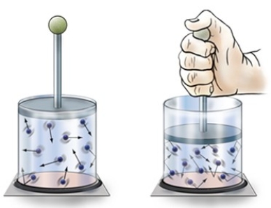 Pushing down on the sealed glass container causes   A) increased volume and pressure increases. B) decreased volume and pressure increases. C) decreased volume and pressure decreases. D) increased volume and pressure decreases.