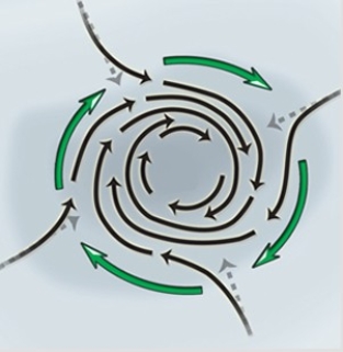 This diagram features a   A) cyclone,southern hemisphere. B) cyclone,northern hemisphere. C) anticyclone,northern hemisphere. D) anticyclone,southern hemisphere.