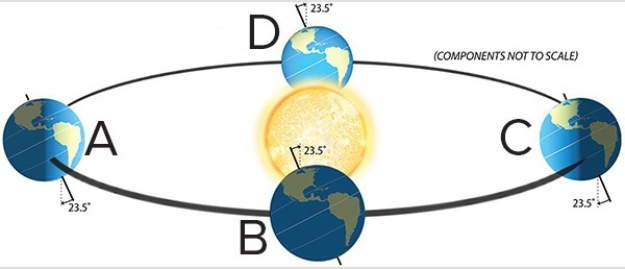 Which of the following letters represents when the sun is directly overhead at the Tropic of Capricorn?   A) A B) B C) C D) D