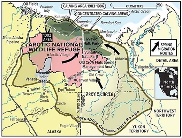 On the map below,all of the following would be considered  interpretations  except   A) spring migration routes. B) Ivvavic National Park. C) concentrated calving areas. D) porcupine caribou herd range.