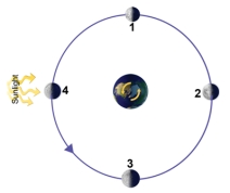 This figure shows the moon at four different positions,representing four different times,as it orbits around Earth.At which position would there be a new moon as seen from Earth?   A) 1 B) 2 C) 3 D) 4