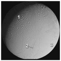 Which of these numbered areas on Enceladus,a moon of Jupiter,is probably the oldest?   A) 1,a heavily cratered terrain B) 2,tectonic belts that cut across the cratered terrain C) 3,less cratered plains D) there is not enough information to tell