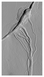 What do these channels indicate about past events on Mars?   A) there were explosive volcanic eruptions B) strong winds eroded into a series of volcanic layers C) the surface once had running water that eroded and deposited sediment D) glaciers once covered the entire planet