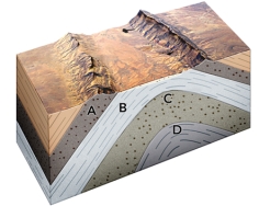 If it contained oil,which layer would most likely produce an oil seep on the surface?   A) A,a permeable sandstone B) B,an impermeable shale C) C,a permeable sandstone D) D,an impermeable shale