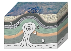 Which site in the accompanying figure is the most likely setting for an oil field?   A) shales at 1,3,and 5 B) limestone at 2 C) sandstone at 4 D) both 2 and 3 E) both 2 and 4