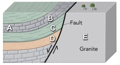 Which site in the accompanying figure is the most likely setting for an oil field?   A) limestone at A B) limestone at B C) shale at C D) sandstone at D E) granite at E