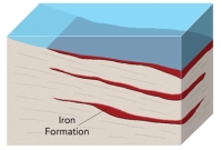 How did large iron deposits,called banded iron formations,form?   A) hot water circulates along the margins of a caldera B) groundwater mixes with seawater in the subsurface C) magma releases metal-rich fluids that replace reactive rocks D) an increase in oxygen in Earth's atmosphere caused seas to precipitate beds of iron-rich minerals