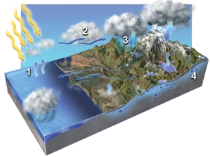 In which areas on the accompanying figure is condensation occurring?   A) 1 and 2 B) 2 and 3 C) 3 and 4 D) 1 and 3 E) 2 and 4