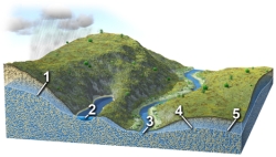 Each number on this figure refers to a location with groundwater in a subsurface material that is consistent in character across the entire figure.Of these locations,which would likely have the fastest groundwater flow?   A) 1 B) 2 C) 3 D) 4 E) 5