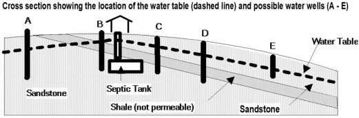 This cross section shows the location of a septic tank with harmful bacteria and 5 wells.Which well is least likely to become contaminated? A) well A B) well B C) well C D) well D E) well E  
