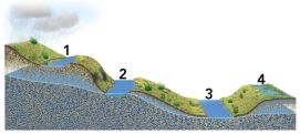 Which of these four lakes could only exist if they if they received water from precipitation or runoff from the land?   A) 1 and 2 B) 2 and 3 C) 3 and 4 D) 1 and 4 E) 2 and 4