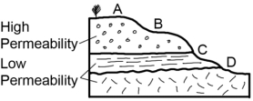 Which of the sites on this cross section would be the most likely place for a spring?   A) A B) B C) C D) D