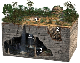 Which of these four numbered features on the surface or in a cave are formed by the precipitation of calcium carbonate,due to the evaporation of water?   A) 1 and 2 B) 2 and 3 C) 3 and 4 D) 1 and 3 E) 1 and 4