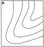 This map shows elevations of the water table beneath an area.Which of the following maps is the correct contour map for the water table elevations shown?           A) A B) B C) C D) D