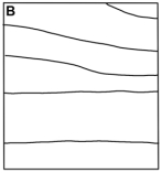 This map shows elevations of the water table beneath an area.Which of the following maps is the correct contour map for the water table elevations shown?           A) A B) B C) C D) D