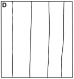 This map shows elevations of the water table beneath an area.Which of the following maps is the correct contour map for the water table elevations shown?           A) A B) B C) C D) D