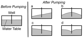 This figure shows a new well that will pump out groundwater faster than it can be replaced.What will the water table look like after pumping?   A) A B) B C) C D) D