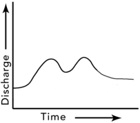 What is a reasonable interpretation for the flow event recorded by this hydrograph?   A) there were two pulses of runoff because there were two storms B) the drainage basin has several distinct parts C) one pulse could be due to snowmelt and the other to rain D) all of these