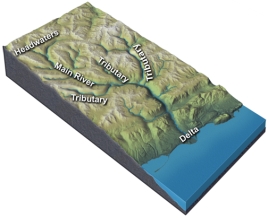 What typically happens when tributaries join the main river?   A) channel size increases B) water velocity increases C) the amount of discharge increases D) total sediment load increases E) all of these