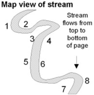 Where would be the relatively safest place to build a bridge across the stream in the accompanying figure?   A) between points 1 and 2 B) between points 3 and 4 C) between points 5 and 6 D) between points 7 and 8