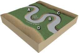 At which site along this stream would a point bar form?   A) A B) B C) C D) D