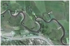 Which of the features on this aerial photograph is a point bar?   A) A B) B C) C D) D