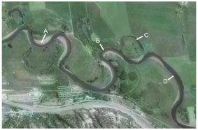 Which of the features on this aerial photograph is a cutbank?   A) A B) B C) C D) D