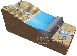 Construction of a dam results in:   A) an increase in the total amount of water flowing downstream of the dam B) increased erosion by clear water released from the dam C) the dam releasing water that contains more sediment than carried by the river before the dam was constructed D) increased erosion where the stream channel meets the reservoir