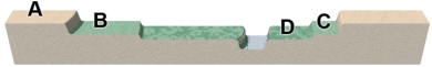 The accompanying figure shows a series of river terraces.Which two of these terraces are probably closest in age?   A) A and B B) B and C C) C and D D) A and C