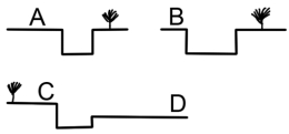 For the same discharge,which site is most likely to be flooded?   A) A B) B C) C D) D