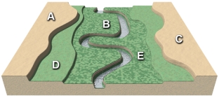 In this landscape,choose the location that you think would be best for agricultural fields.   A) Location A B) Location B C) Location C D) Location D E) Location E