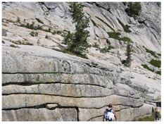 The joints in the photograph mimic topography,indicating that they formed:   A) while the granite was still molten B) while the rocks were still buried at great depth C) when the weight of overlying rocks was unloaded,allowing expansion along the joints D) along a subduction zone