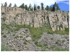 What is the dominant type of weathering is shown in this photograph?   A) dissolution B) chemical weathering C) debris flow D) hydrolysis E) physical weathering