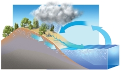What concepts can be explained using this diagram?   A) the movement of water between the oceans and the land B) how precipitation ends up in rivers or groundwater C) how weathering causes the seas to become saltier D) all of these
