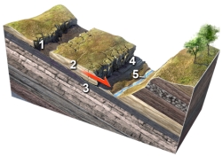 Which numbered feature on this figure is critical to enable a rock slide to start?   A) 1,a linear or curved scar marking where the slide pulled away from the hill B) 2,small fractures within the sliding block C) 3,layers,fractures,or some other discontinuity inclined downslope D) 4,the front of the slide,where it overruns the land surface E) 5,a valley or other open space in front of the slide