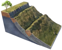 What type of slope failure is shown in this figure?   A) rotational slide B) creep C) rock avalanche D) debris flow E) rock fall