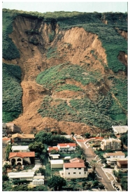 The landslide that destroyed La Conchita,as shown in this photograph,is probably:   A) an example of creep B) an earth flow C) a rock fall D) a rock avalanche