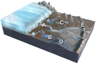 Which of the features labeled on this figure is a terminal or recessional moraine?   A) A B) B C) C D) D E) E