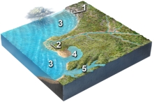 Which site will most likely experience rapid erosion?   A) 1,cliffs composed of hard rocks B) 2,sediments in a delta C) 3,the seafloor deep beneath the waves D) 4,the coastline of a bay E) 5,the coastline in a branching embayment