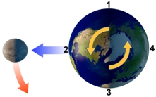 With the Moon in this position,which area will experience high tide?   A) 1 B) 2 C) 3 D) 1 and 3 E) 2 and 4