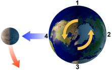 With the Moon in this position,which area will experience low tide?   A) 1 B) 2 C) 3 D) 1 and 3 E) 2 and 4
