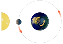 With the Sun and Moon in this position,what does the side of the earth facing the moon experience?   A) a normal high tide B) a normal low tide C) a spring tide D) a neap tide