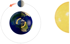 With the Sun and Moon in this position,what does the side of the earth facing the moon experience?   A) a normal high tide B) a normal low tide C) a spring tide D) a neap tide
