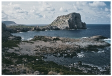 What does this wave-cut platform indicate?   A) a rise of sea level relative to the land B) a lowering of sea level relative to the land C) movement of a large thrust fault D) scouring of the land surface by a tsunami
