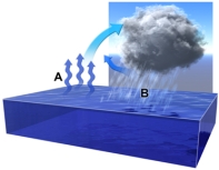 What is the relationship between water vapor at point A and water droplets at point B?   A) warm vapor at A is caused by the heat released in condensation at point B B) warm vapor at A is likely not related to condensation at point B C) warm vapor at A causes cooling and condenses to liquid water at point B D) water evaporates at point A,rises,and then cools and condenses at point B E) vapor and water droplets are the behaving the same way