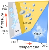 This diagram shows the conditions under which the three phases of water can exist.Which of the following is NOT true?   A) increasing temperature can cause ice to become liquid B) increasing temperature can cause liquid to become vapor C) at low pressure,increasing temperature can cause ice to become vapor D) decreasing pressure can convert vapor to ice or a liquid