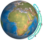 Arrows on this figure shows flow cells in the atmosphere.Which area(s) would experience heavy precipitation,as results in rain forests?   A) 1 B) 2 C) 3 D) 1 and 2 E) 1 and 3