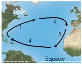 For these ocean currents in the Atlantic,which of these currents is mostly likely to be a warm current?   A) 1 B) 2 C) 3 D) both 1 and 3 E) both 2 and 4